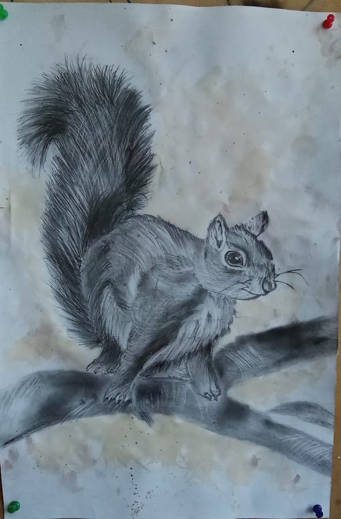 draw unique pet art, the perfect gift for pet lovers
