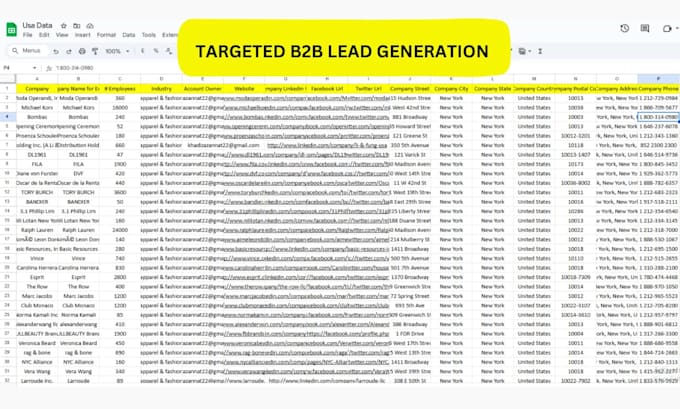 do provide targeted b2b lead generation for your business