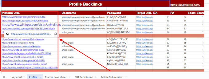 manually build high quality profile backlinks from authority DR websites