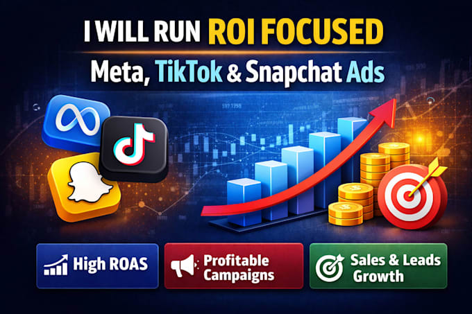 run ROI focused meta, tiktok and snapchat ads