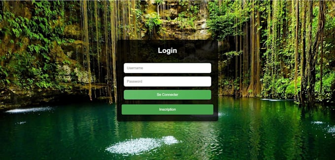 provide professional website debugging and repair service