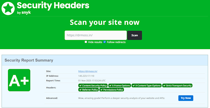 make your wordpress site safer with advanced security headers
