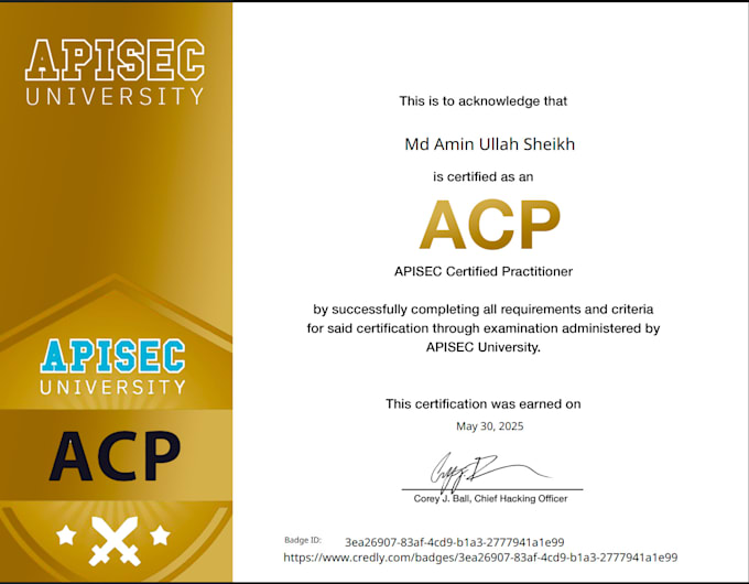 perform expert website and API penetration testing