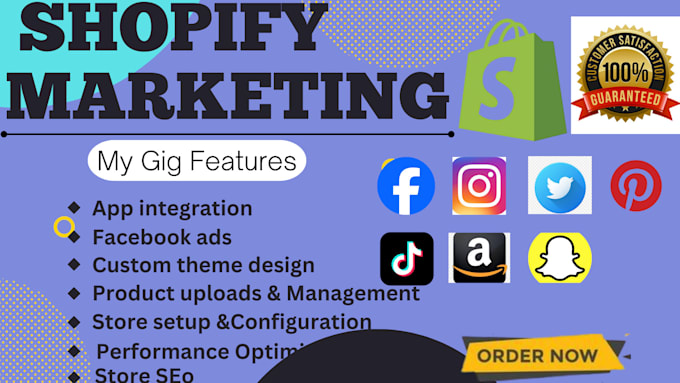 shopify store setup  customization and build your dream e commerce website