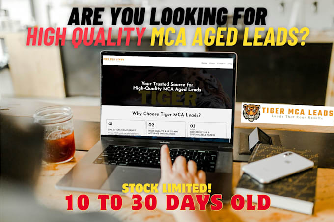 provide high quality mca aged leads 10 to 30 days old