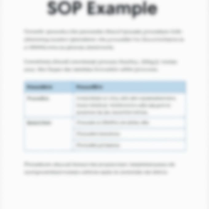 document and organize your business processes professionally