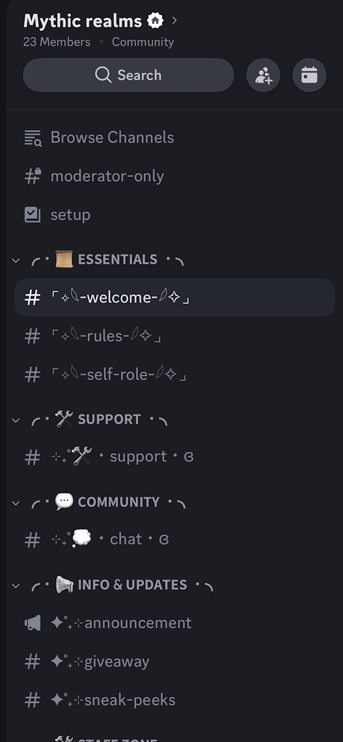 create a professional discord server with bots and role setup