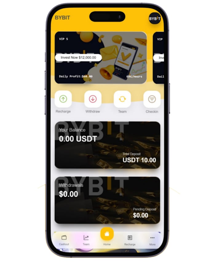 do bybit investment platform