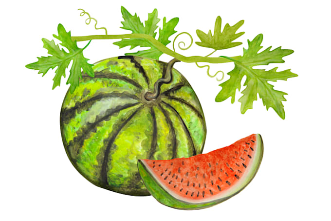 create illustrations with acrylic or photoshop