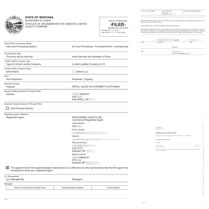 do your complete US llc registration, llc formation, ein and boi setup