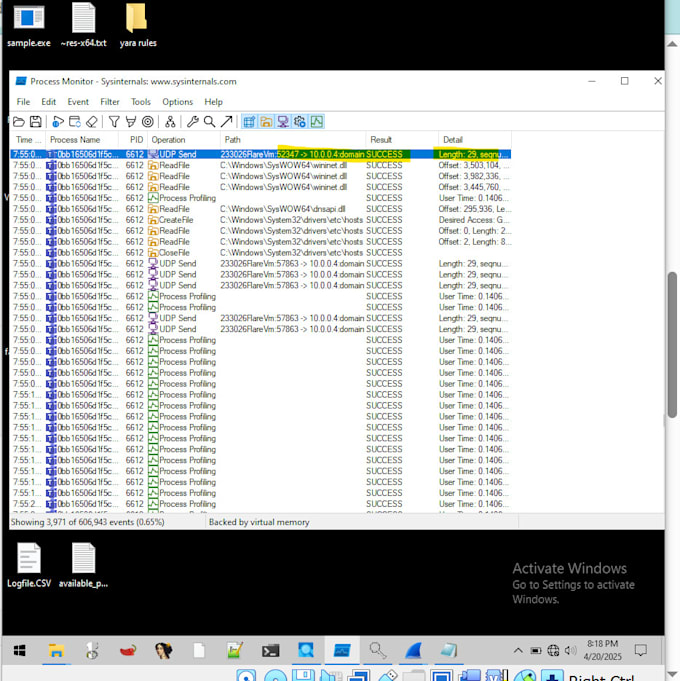 do malware analysis advanced dynamic and static testing