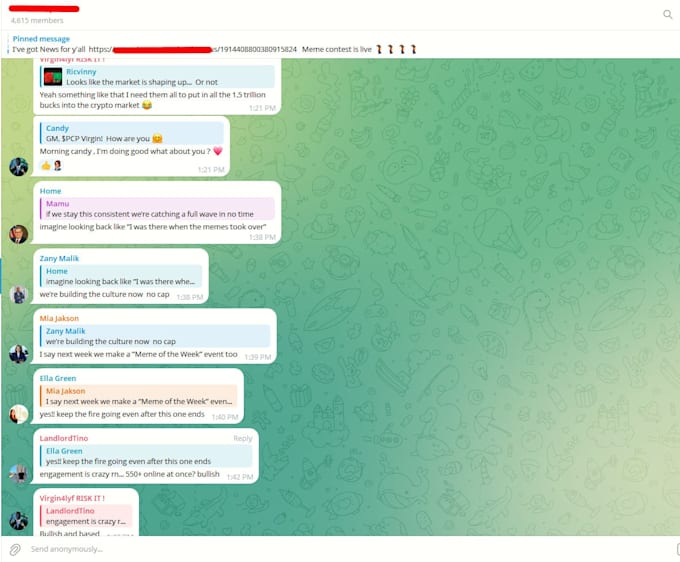 be your nft discord and telegram moderator, admin, chatter, community manager