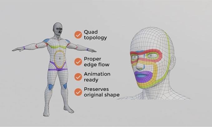 retopologize your 3d character for animation or games