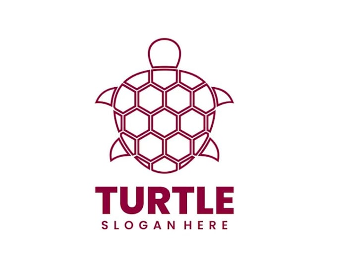 do design creative modern beautiful turtle logo