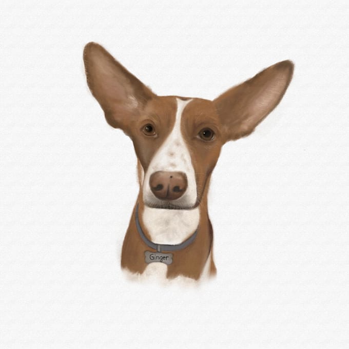 haré ilustraciones personalizadas y sencillas para ti