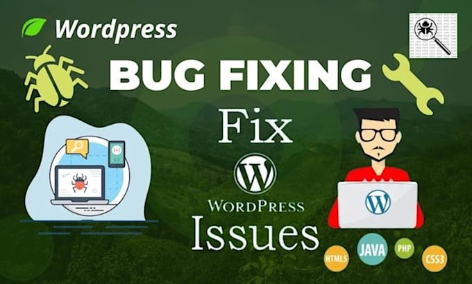 expert wordpress bug and error fix fast and reliable