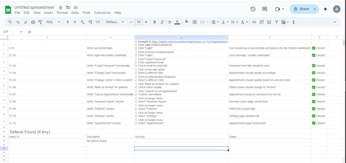 perform comprehensive manual testing for your website