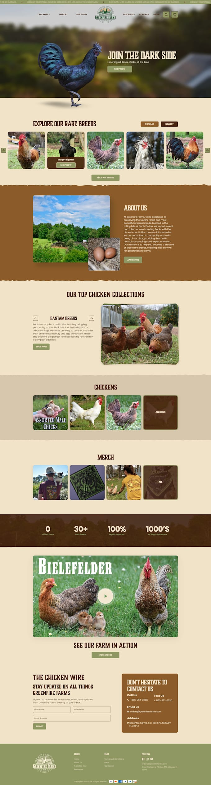 develop, redesign and customize branded shopify website