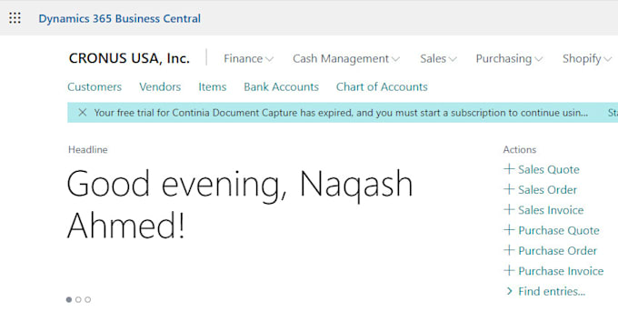 customize and support microsoft dynamics nav or business central