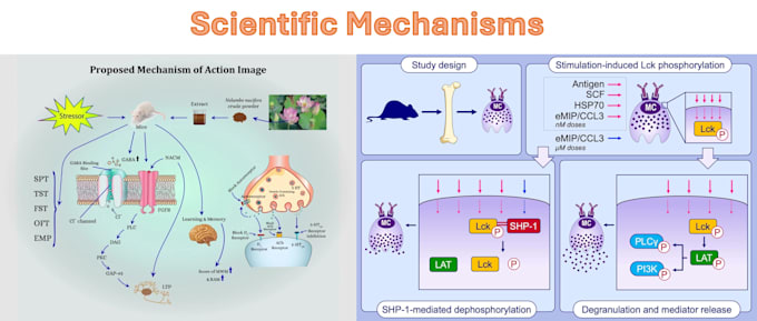 design scientific illustration, article figure, graphical abstract, 3d molecules
