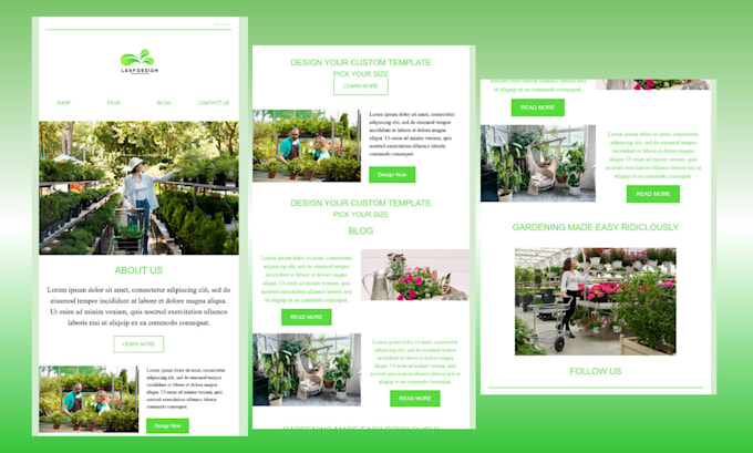 design mailchimp email template newsletter