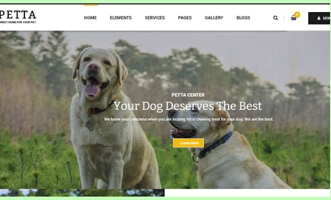 design wix dog walking website cats pet training pet care pet website redesign