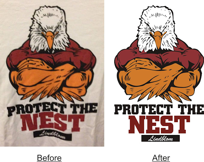 redraw or vector trace your logo or graphics to vector