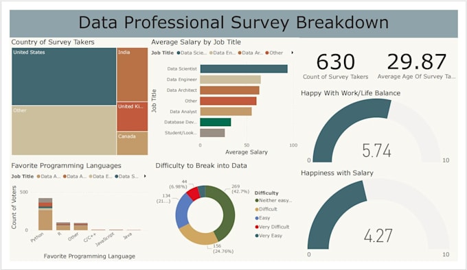 be your data analyst and dashboard developer