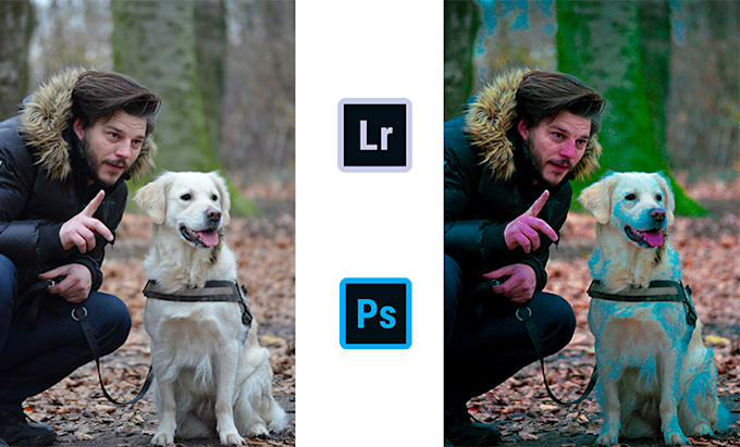 design custom photo filters and presets