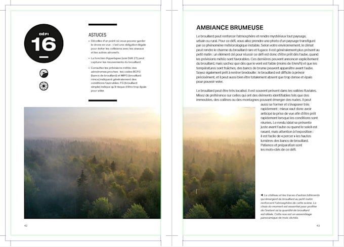 design a professional layout for your magazine or catalog