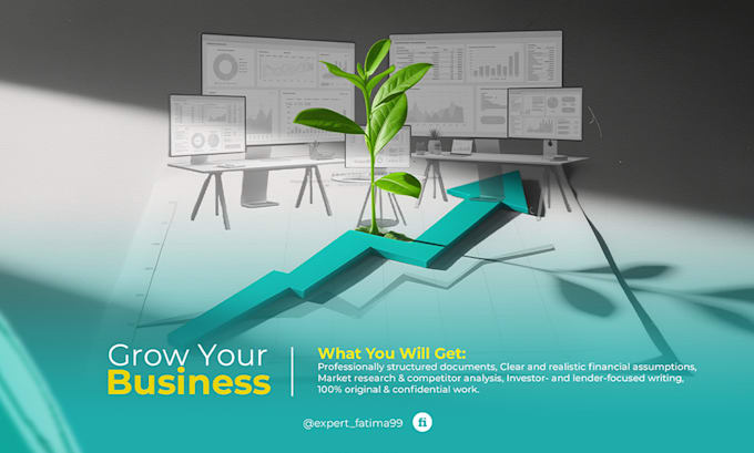 write an investor ready business plan, pitch deck, or sba loan plan