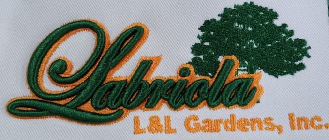 do embroidery digitizing design into dst emb pes etc files