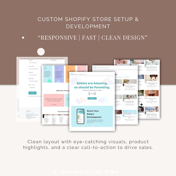 expert shopify developer and store setup