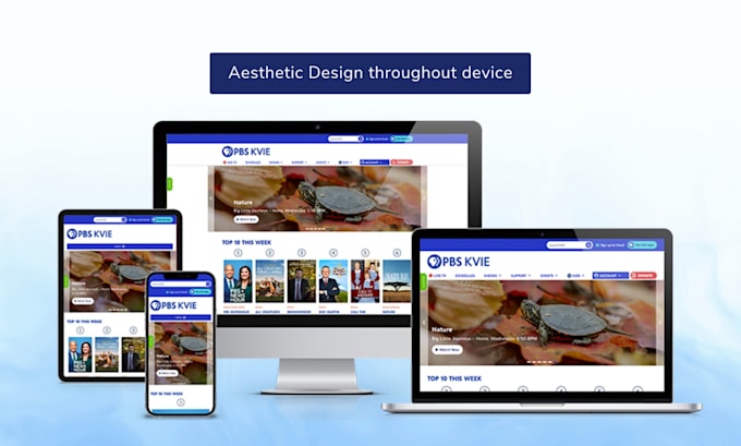 build squarespace website redesign squarespace website development setup booking