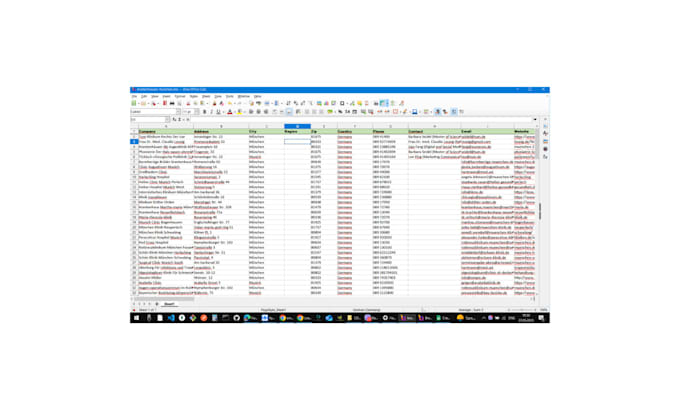 provide professional lead generation
