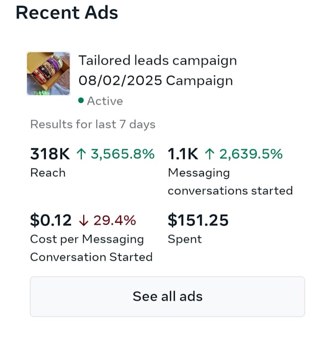 be your facebook ads campaign manager