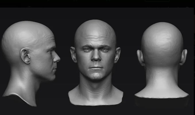 do 3d bust model 3d head model face model 3d head bust zbrush 3d printing