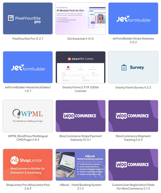build a professional wordpress website using premium themes and plugins