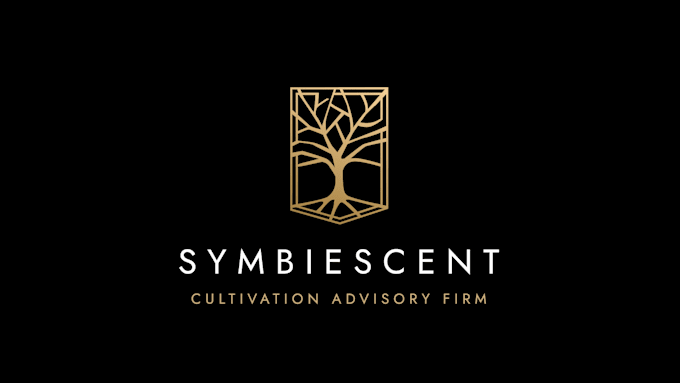 design a premium minimalistic logo