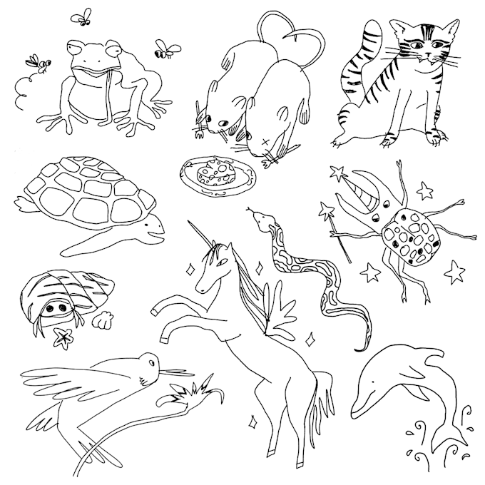 draw line art minimalist doodle illustrations