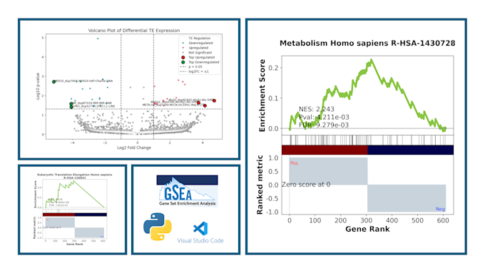 perform enrichment analysis for rna sequencing data