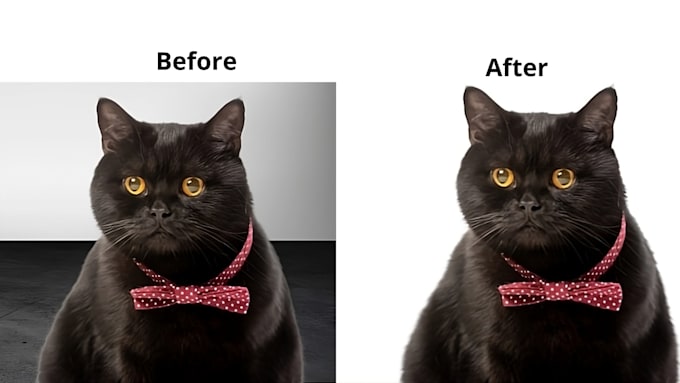 photo retouch, background removal and ai image manipulation