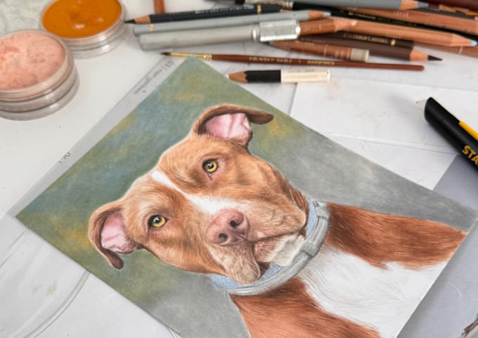 hand draw a custom memorial pet portrait from photo