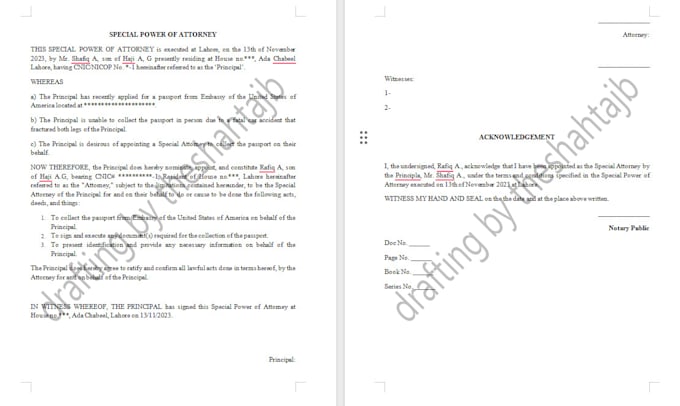 draft case briefs, notices, injunctions and pleadings