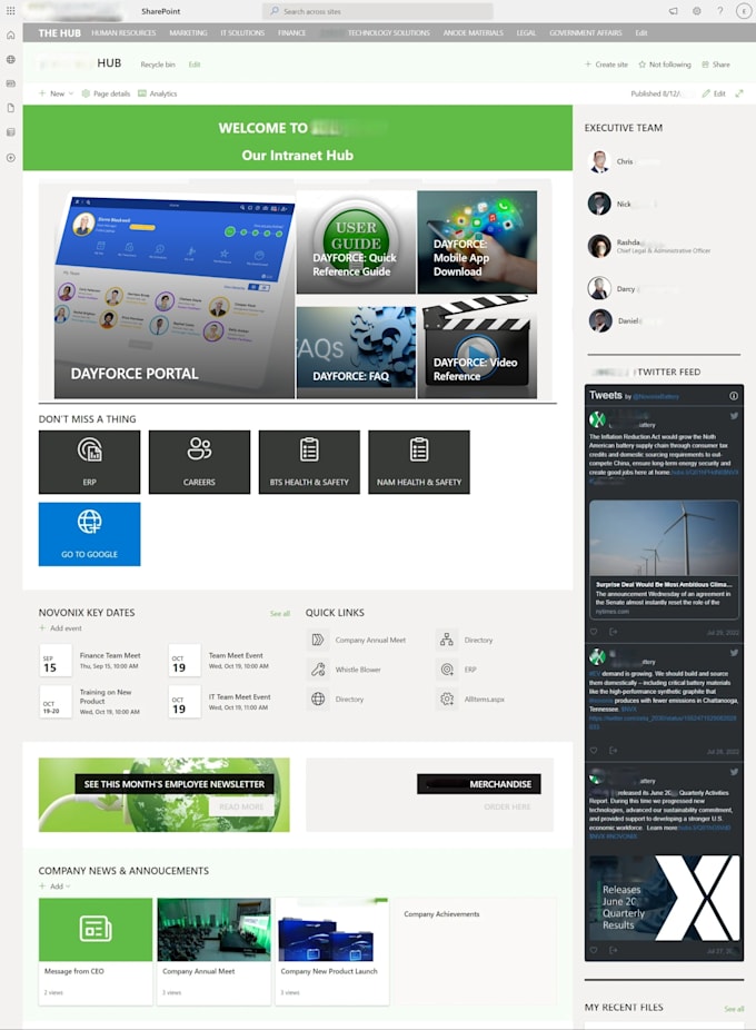 create professionally done sharepoint intranet