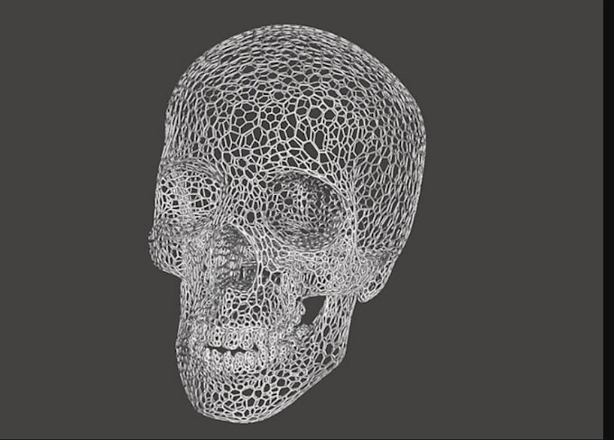 create fix or edit 3d object lattice models for engineering medical use printing
