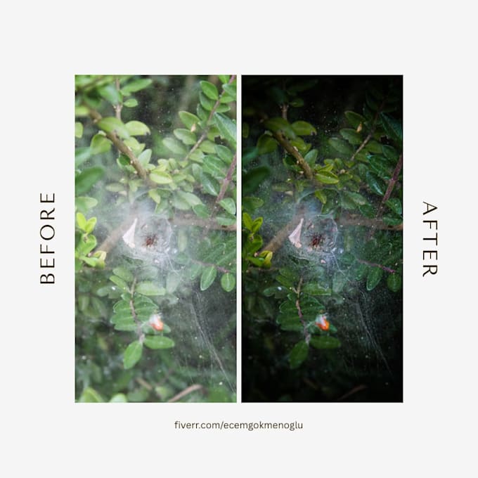 color correction and natural photo enhancement