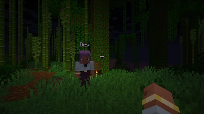 develop or code a plugin or minecraft forge fabric and noefoge mod boostifypro