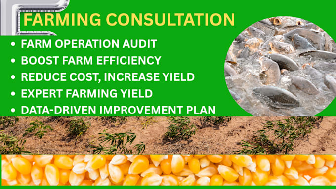 provide agriculture business consultancy farming tailored to your farm goal