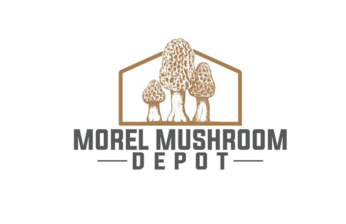 make an modern custom mushroom logo